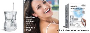 Waterpik Aquarius Water Flosser, WP-660