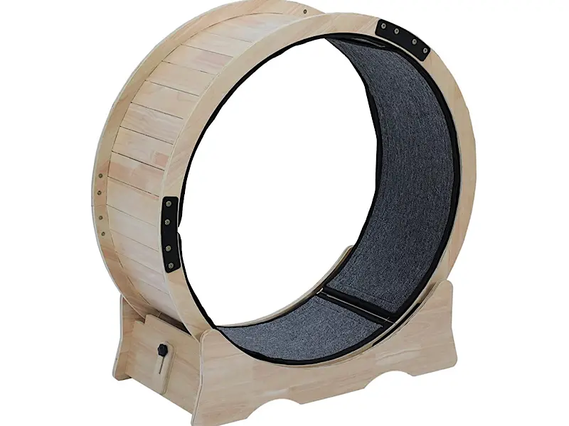 Top 3 Benefits of Owning a Cat Wheel 2